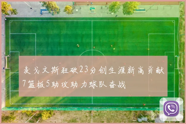 麦戈文斯狂砍23分创生涯新高贡献7篮板5助攻助力球队奋战