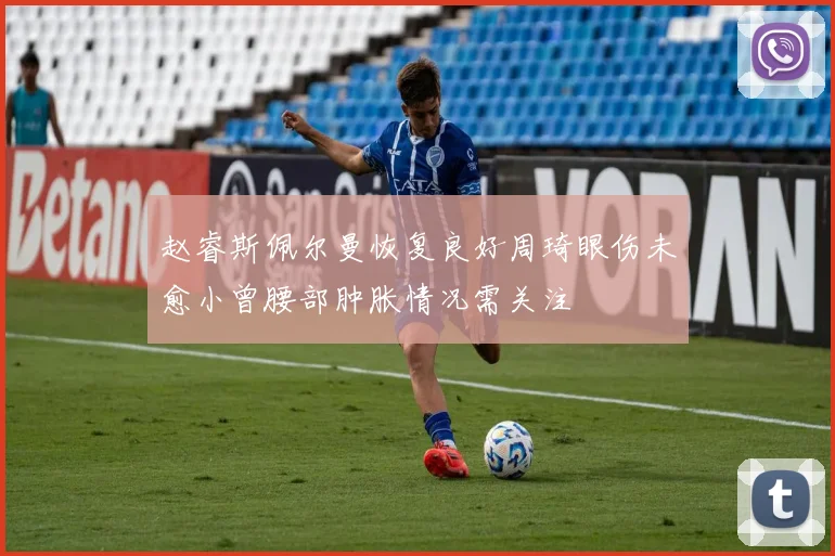 赵睿斯佩尔曼恢复良好周琦眼伤未愈小曾腰部肿胀情况需关注