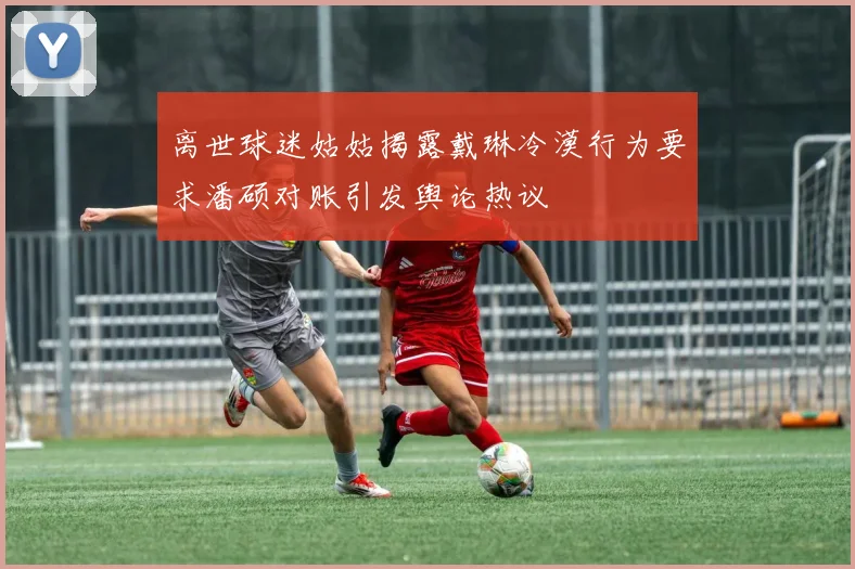 离世球迷姑姑揭露戴琳冷漠行为要求潘硕对账引发舆论热议